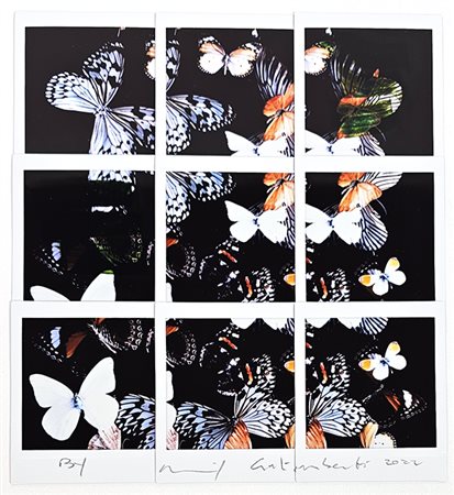 Maurizio Galimberti “Butterfly” 
