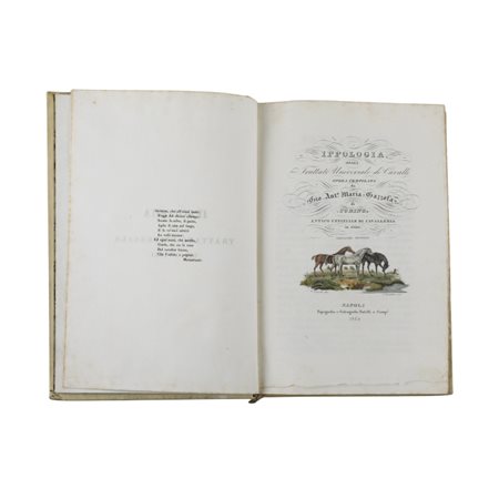 Ippologia ossia Trattato Universale de’ Cavalli