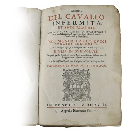 ​DEL CONOSCERE LE INFERMITÀ CHE AVVENGONO AL CAVALLO, ET AL BUE