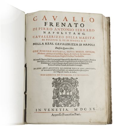 Cavallo Frenato di Pirro Antonio Ferraro Napolitano