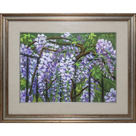 Adriana Gallo (Catania)  - Glicine