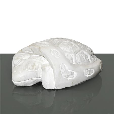 Michele Valenza (Villalba 1950)  - Tartaruga