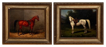 Scuola del secolo XIX - Cavallo bianco; Cavallo bruno