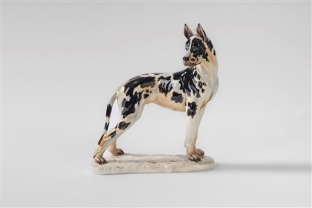 Guido Cacciapuoti (Napoli 1892 - 1953)  - Alano arlecchino in porcellana policroma su base a zolla