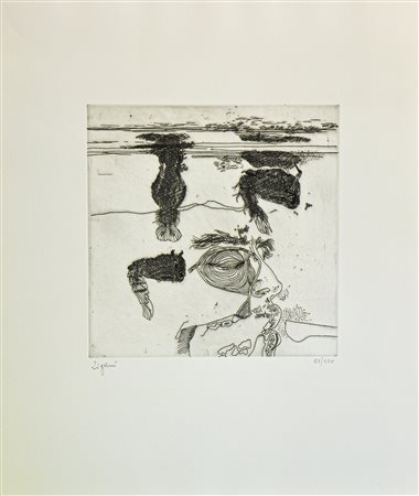 GIUSEPPE ZIGAINA, Lo stagno n.24