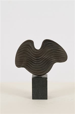 MAURIZIO BONORA, Concavo e convesso