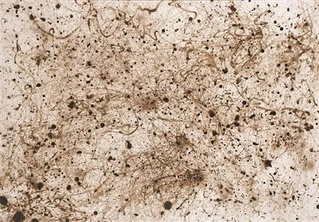 ARCANGELO SASSOLINO, Senza titolo