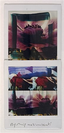 GALIMBERTI MAURIZIO Como (Co) 1956 Biflowers Tecnica mista su Fuji instax...