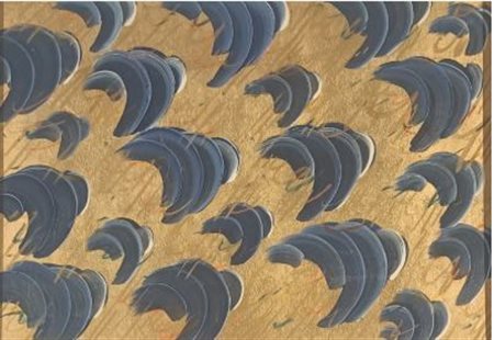 DE FILIPPI LEONIDA Milano (MI) 1969 Senza titolo 1996 Mista su cartone...