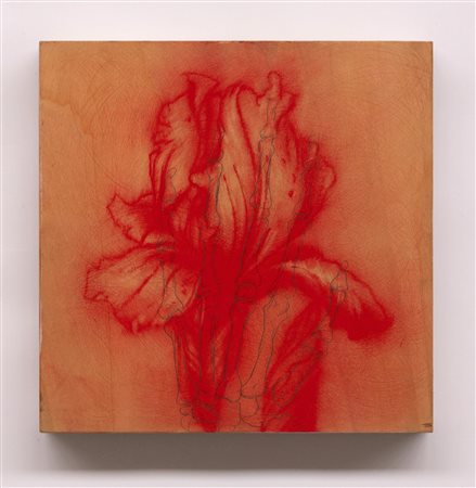 OMAR GALLIANI Nuovi fiori nuovi santi