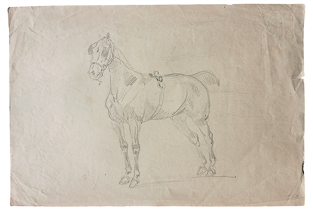 STUDIO PER CAVALLO - MATITA SU CARTA CM. 20,6X30,5 - NUMERATO IN BASSO A...