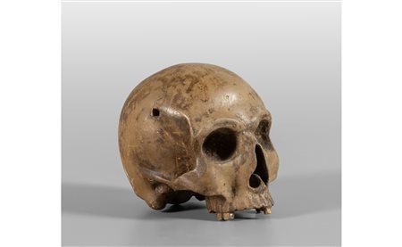 Teschio, scultura in legno laccato, 