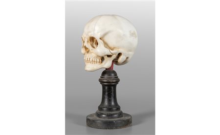 Teschio, scultura in marmo bianco statuario con 