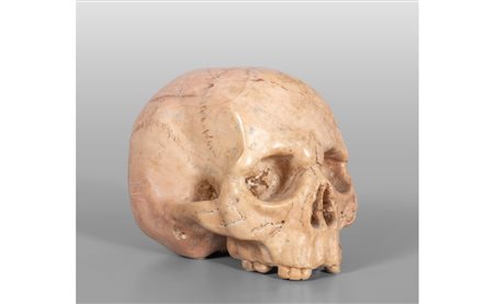 Teschio, scultura in marmo giallo di Siena, inizi 