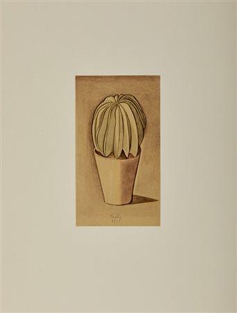 MORANDI GIORGIO (1890 - 1964) - CACTUS (DAL VOLUME GIORGIO MORANDI 50 DISEGNI DI MORANDI - 50 TAVOLE).