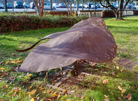 Toni Benetton (1910 - 1996)
La manta,1960