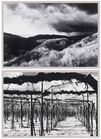 Elio Ciol (1929), da
Casarsa e Paludea di Castelnovo