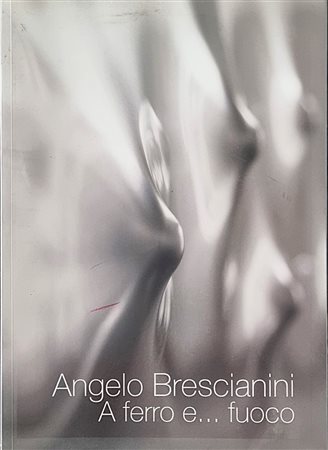 BRESCIANINI ANGELO Brescia 1948 - 2016 "Catalogo"