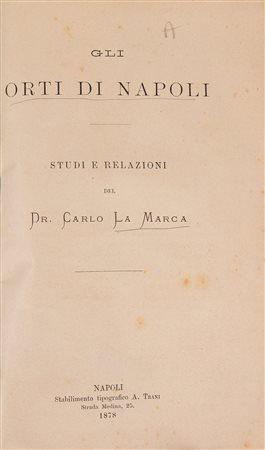 Giovanni Battista Carboni - Luigi Chizzola - Le pitture e sculture di Brescia che sono esposte al pubblico con un' appendice di alcune private ga (…)