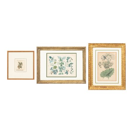 DUE LITOGRAFIE E UN'INCISIONE