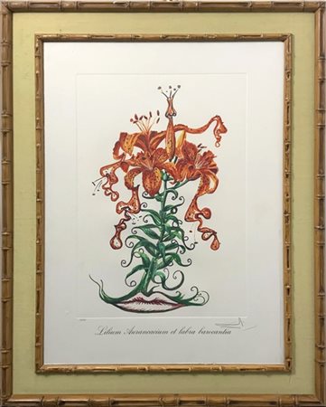Salvador Dalì "Lilium aurancacium et labra barocantia" 1972
heliogravure
cm 75x5