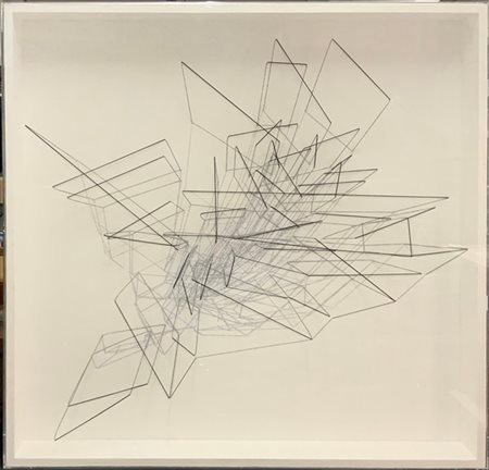 Emanuela Fiorelli "Crescita" 2012
tarlatana e filo elastico su tela serigrafata