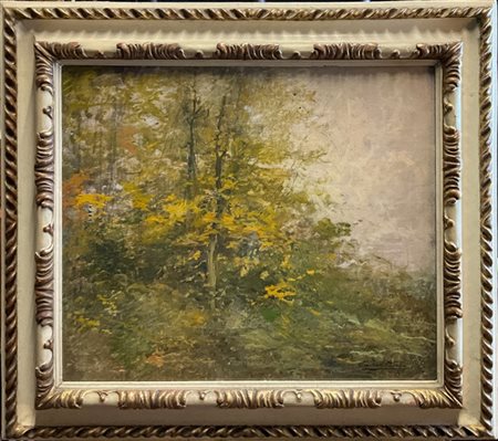 Emilio Borsa "Novembre al Parco di Monza" 
olio su compensato (cm 48x58)
firmato
