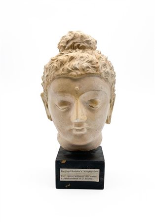 Testa di Bodishattva in gesso in stile Gandhara. Secolo XX (h. cm 18) su base i