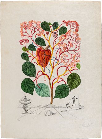 Anacardium Recordans (Vegonia, Le Coeur)