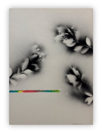 ALFREDO RAPETTI (1961) - Senza Titolo, 2012