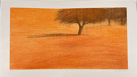 CARMELA DA GIOZ, "Il grande albero", 2004