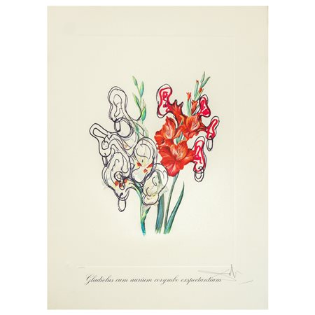 Salvador Dalì (Spanish 1904 - 1989)  - Fiori surrealisti: Gladiolus cum aurium corymbo expectantium 