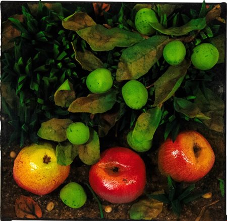 Piero Gilardi, Noci e mele