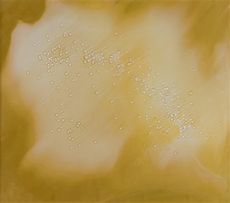 Vasco Bendini (Bologna, 1922 - Roma, 2015) Senza Titolo Tecnica mista su...