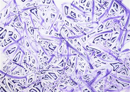 Gianni Asdrubali (Tuscania (Vt), 1955) Zuscanne 1997 Olio su tela cm. 160x228...