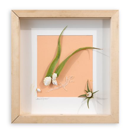 DANIEL SPOERRI (1930-2024) - Senza Titolo