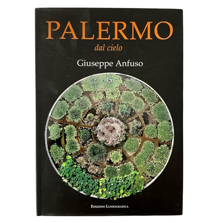 Giuseppe Anfuso - Palermo dal cielo, 2010