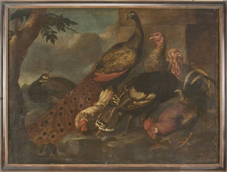 Giovanni Crivelli "Pavoni, tacchini e galli"
olio su tela (cm 129x175)
in cornic