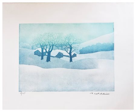 Placido Castaldi, Silenzio in montagna