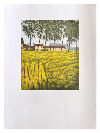 Oliviero Masi, Senza titolo