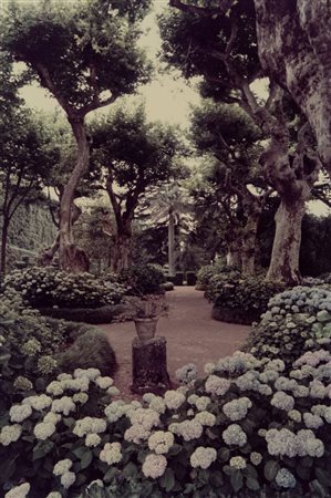 Luigi Ghirri (1943 - 1992)  - I castelli romani, 1982