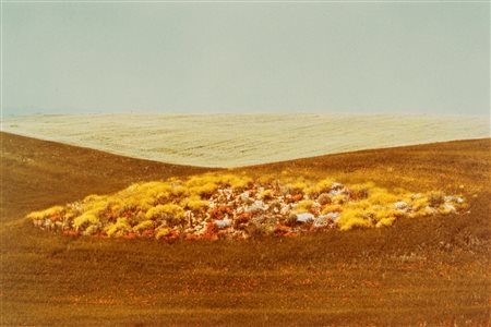 Franco Fontana (1933)  - Senza titolo (Paesaggio), 1970s
