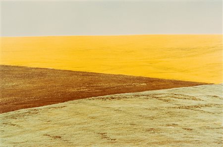 Franco Fontana (1933)  - Paesaggio
