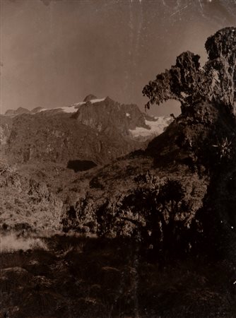 Vittorio Sella (1859 - 1943)  - Glacier Bezingi, Caucase Ouganda Mount Stanley, République Démocratique du Congo, 1895/1900