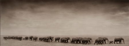 Nick Brandt (1964)  - Elephant Exodus, Amboseli, 2008