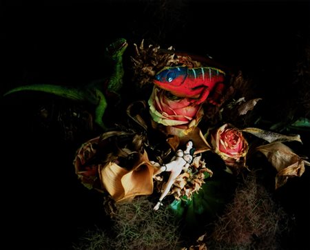 Nobuyoshi Araki (1940)  - Monstrous Paradise, 2016