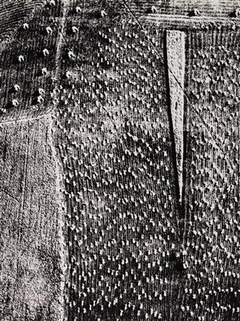 Mario Giacomelli (1925 - 2000)  - Presa di coscienza sulla natura, 1970s/1980s