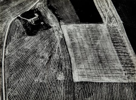 Mario Giacomelli (1925 - 2000)  - Presa di coscienza sulla natura, 1981