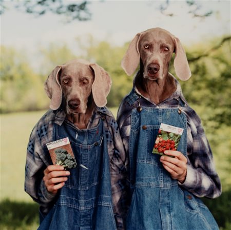 William Wegman (1943)  - Broccoli/Radish, 1996