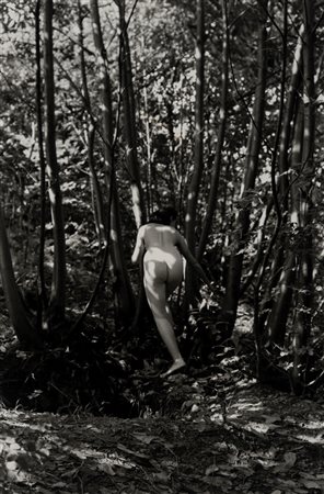 Fulvio Roiter (1926 - 2016)  - Senza titolo (nudo), 1950